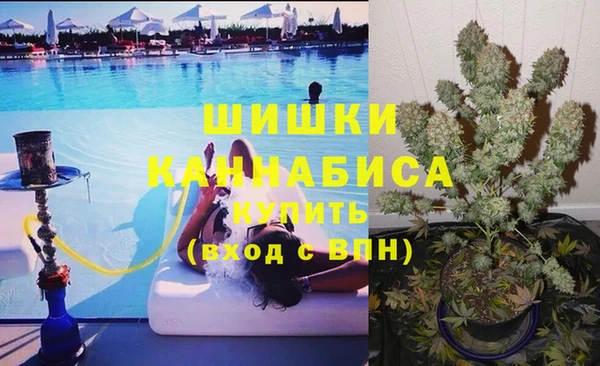 ГАЛЛЮЦИНОГЕННЫЕ ГРИБЫ Арсеньев