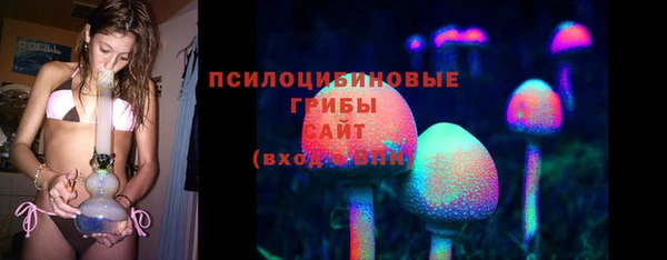 ГАЛЛЮЦИНОГЕННЫЕ ГРИБЫ Арсеньев
