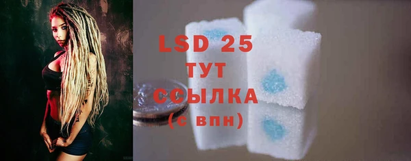 экстази Бородино