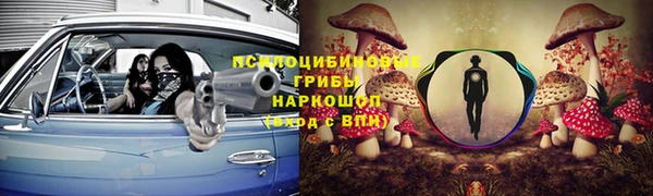 экстази Бородино