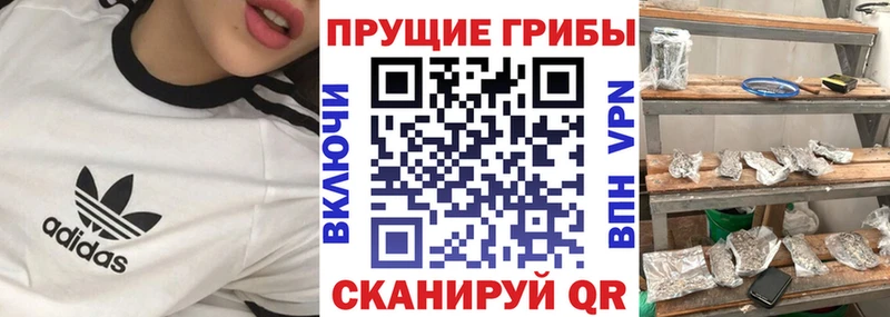 Галлюциногенные грибы MAGIC MUSHROOMS  как найти закладки  Семилуки 